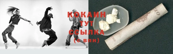 стаф Дмитриев