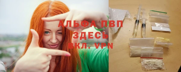 молекула духа Тихвин