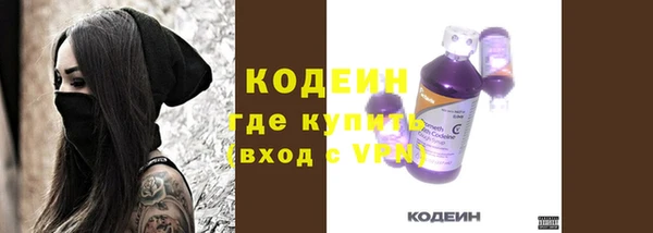 стаф Дмитриев