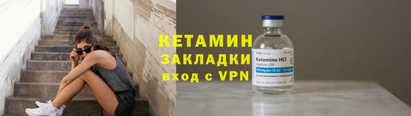 стаф Дмитриев