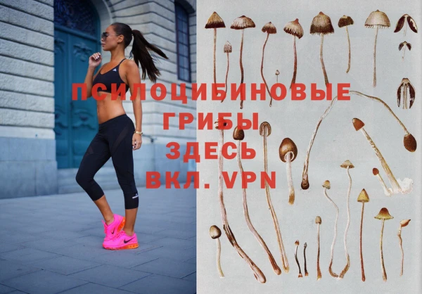 стаф Дмитриев