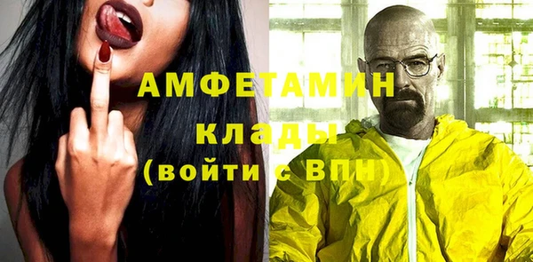 стаф Дмитриев