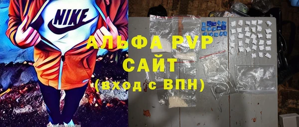 стаф Дмитриев