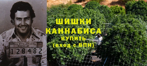 молекула духа Тихвин