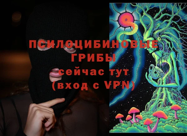 гидропоника Дмитров