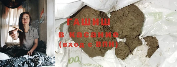прущие грибы Новосибирск