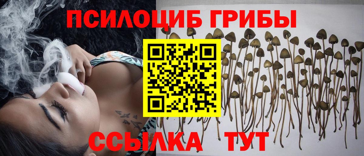 Псилоцибиновые грибы мицелий  Галлюциногенные грибы Magic Shrooms  Острогожск 