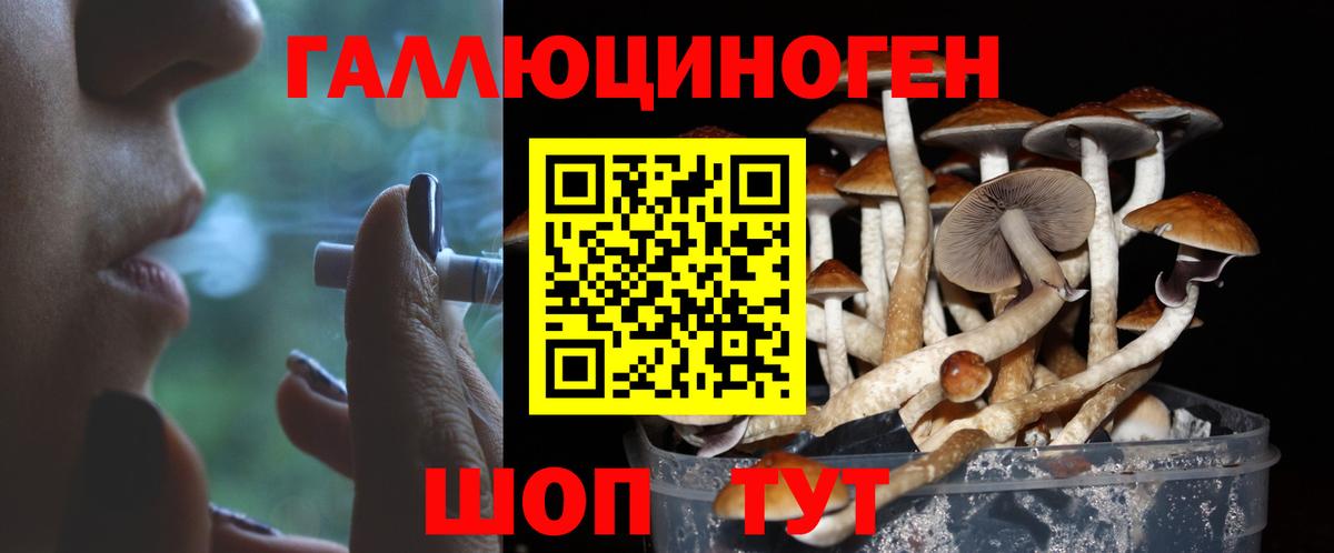 Галлюциногенные грибы мухоморы  Вход с VPN  сколько стоит  Острогожск 