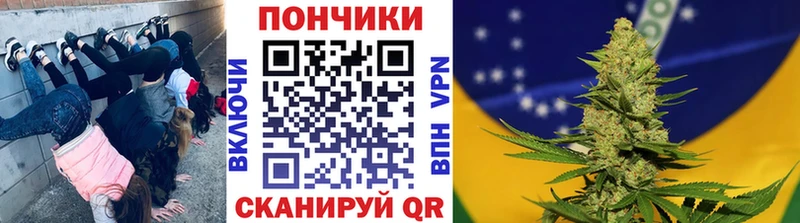 купить наркотики сайты Острогожск Конопля планчик